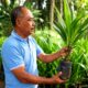 Dari Uji Coba Berbuah Sukses, PHC Ubah Produktivitas Sawit Petani Lampung Timur